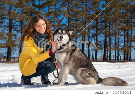 woman plays with dog in the winter forest woman plays with dog in the winter forest 21453011
