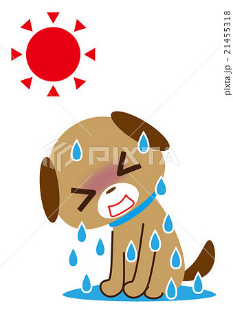 大汗　ワンちゃん 21455318