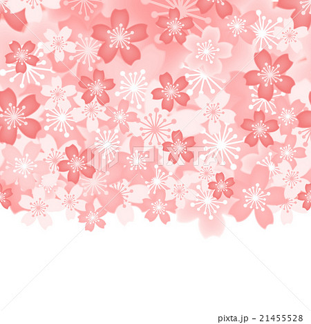 背景_桜01_2 背景_桜01_2 21455528