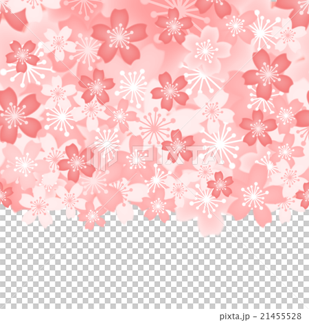 背景_桜01_2 背景_桜01_2 21455528