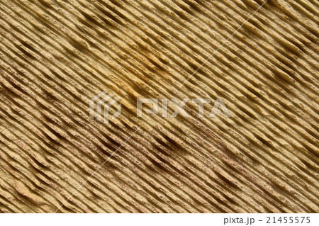 Sandstone texture background Sandstone texture background 21455575