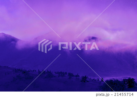 北海道富良野大雪山の冬景色 21455714