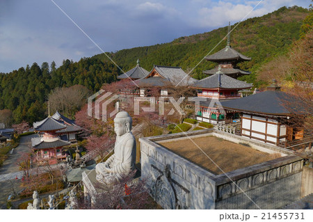 【壷阪寺】 奈良県高市郡高取町壷阪 【壷阪寺】 奈良県高市郡高取町壷阪 21455731