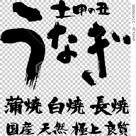 うなぎ　鰻　土用の丑 21456686