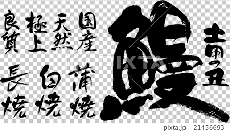 鰻　土用の丑   うなぎ 21456693