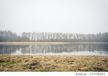 Misty lake with tree reflections Misty lake with tree reflections 21456962