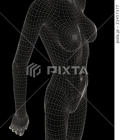 女性の体 ワイヤーフレーム Perming3dcg イラスト素材 素材のイラスト素材