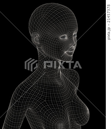 女性の体　ワイヤーフレーム　perming3DCG　イラスト素材　素材 21457378