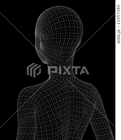 女性の体　ワイヤーフレーム　perming3DCG　イラスト素材　素材 21457384
