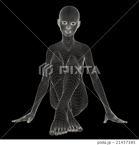 女性の体　ワイヤーフレーム　perming3DCG　イラスト素材　素材 21457385