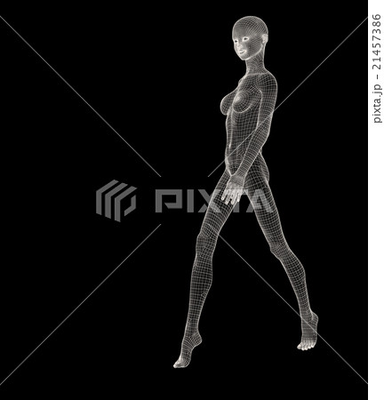 女性の体 ワイヤーフレーム perming3DCG イラスト素材 素材 女性の体 ワイヤーフレーム perming3DCG イラスト素材 素材 21457386