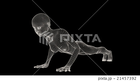 女性の体　ワイヤーフレーム　perming3DCG　イラスト素材　素材 21457392