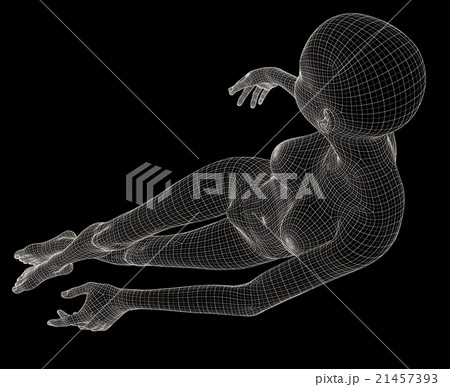 女性の体 ワイヤーフレーム perming3DCG イラスト素材 素材 女性の体 ワイヤーフレーム perming3DCG イラスト素材 素材 21457393