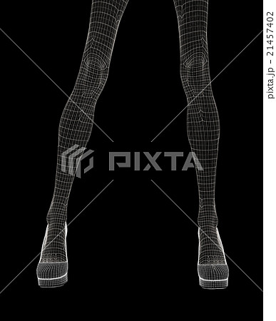 女性の体　ワイヤーフレーム　perming3DCG　イラスト素材　素材 21457402