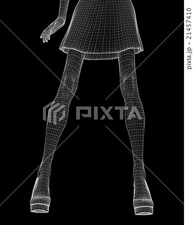 女性の体 ワイヤーフレーム perming3DCG イラスト素材 素材 女性の体 ワイヤーフレーム perming3DCG イラスト素材 素材 21457410