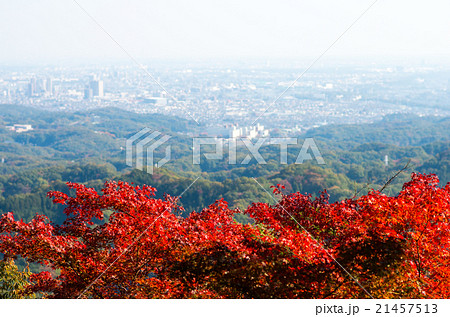 高尾山から見た街並み（東京都の風景） 21457513