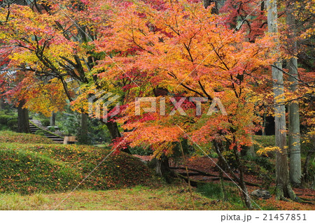 龍穏寺の紅葉 龍穏寺の紅葉 21457851
