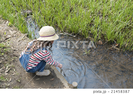 小川で遊ぶ女の子 小川で遊ぶ女の子 21458387