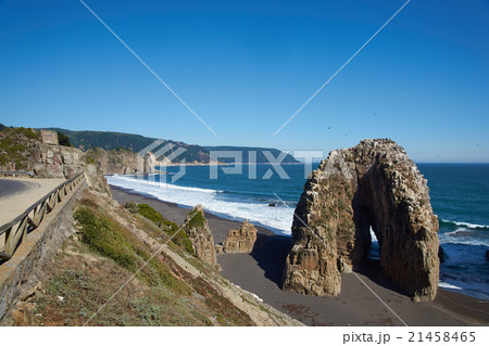 Seabird Colonies on the Coast of Chile Seabird Colonies on the Coast of Chile 21458465