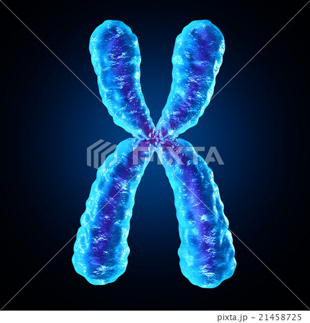 Chromosome 21458725