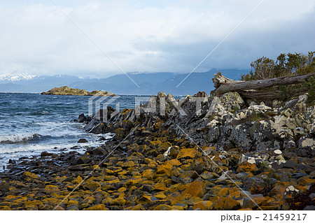 Beagle Channel Beagle Channel 21459217
