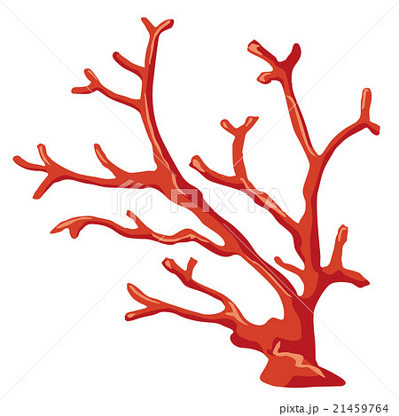 赤珊瑚のイラストのイラスト素材 21459764 Pixta