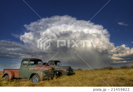 Vintage Farm Trucks Vintage Farm Trucks 21459822