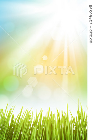 Abstract sunny spring background with grass 21460598