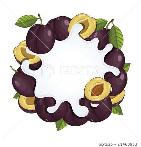 Yogurt splash isolated with plum, vector Yogurt splash isolated with plum, vector 21460953