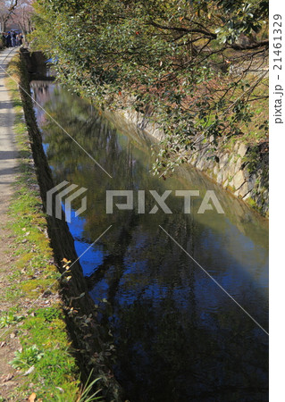哲学の道 哲学の道 21461329