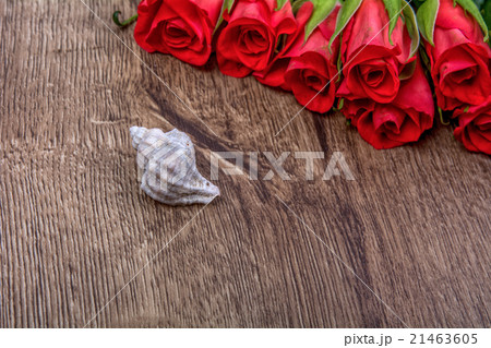 White shell and roses on wooden background White shell and roses on wooden background 21463605