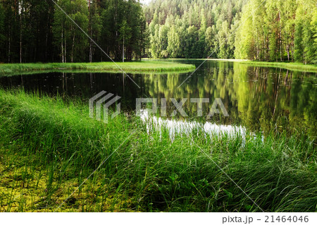 view of the river in Finland view of the river in Finland 21464046