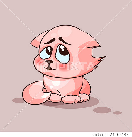 Nice cat confused 21465148