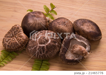 原木椎茸 原木椎茸 21465776