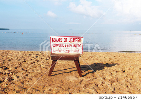 Beware of Jellyfish warning sign on the beach in T 21466867