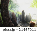 原始的な世界 21467011