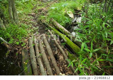 小川に手作りの橋 21468812