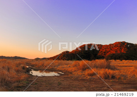 【千葉県】林道金谷元名線の頂上にある広場 21469219