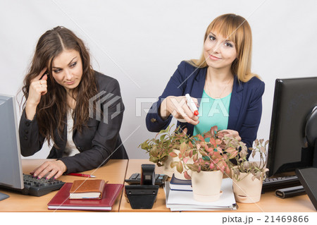 Office employee considers crazy colleague - a lover of flowers Office employee considers crazy colleague - a lover of flowers 21469866