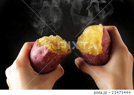 さつまいも 21473444