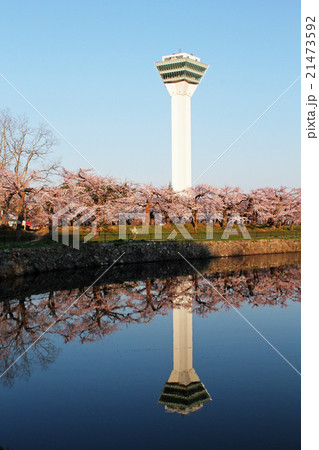 水面に映る五稜郭タワーと桜 21473592