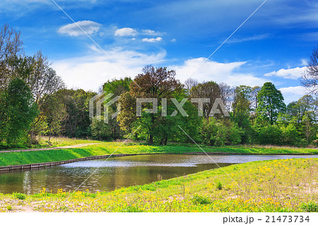 Forest on the shores of beautiful Lake 21473734