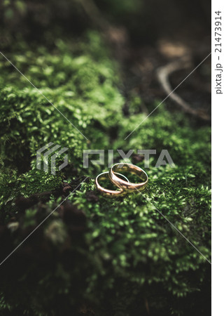 luxury wedding rings lying on the leaves and luxury wedding rings lying on the leaves and 21473914