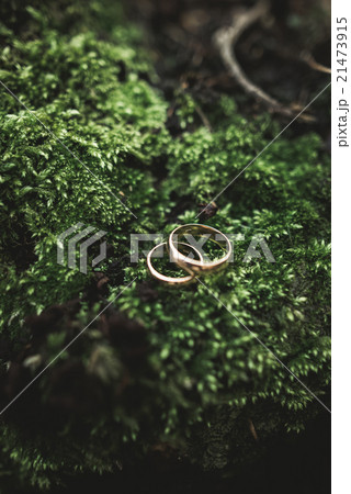 luxury wedding rings lying on the leaves and 21473915