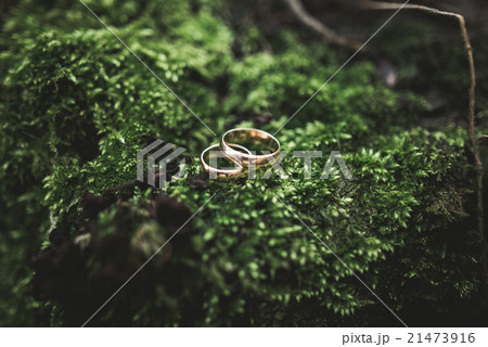 luxury wedding rings lying on the leaves and luxury wedding rings lying on the leaves and 21473916