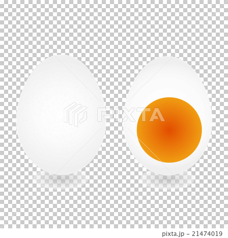 Egg (white egg) half-egg egg 1 21474019