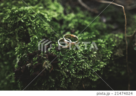 luxury wedding rings lying on the leaves and luxury wedding rings lying on the leaves and 21474024