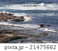 五色浜の磯 21475662