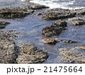 磯 21475664
