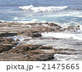 五色浜の磯 21475665